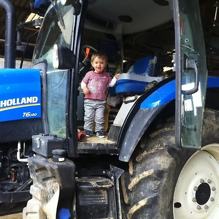 Ferienhaus De Madame