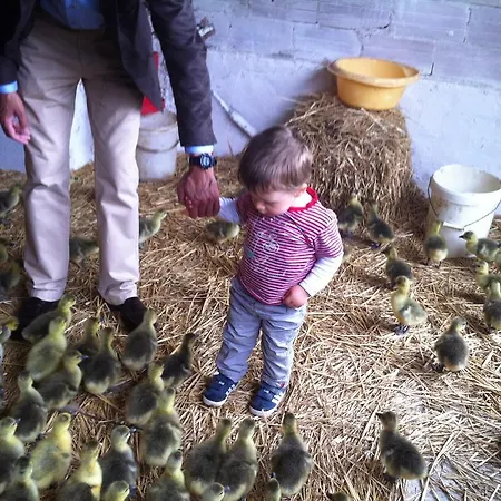 De Madame Ferienhaus *