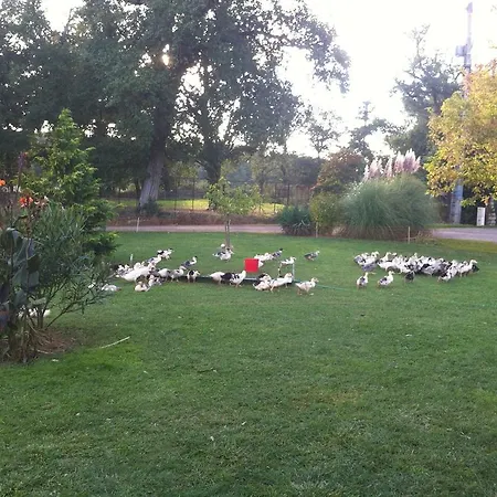 別荘 De Madame Escazeaux