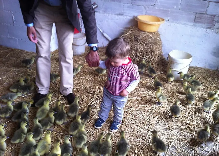 De Madame בית נופש *