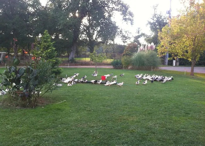 Semesterbostad De Madame Escazeaux